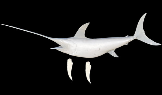 92-INCH SWORDFISH BLANK, STANDARD