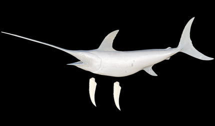 92-INCH SWORDFISH BLANK, STANDARD