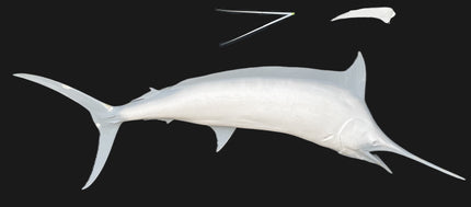 98-INCH BLUE MARLIN BLANK, STANDARD