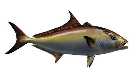 39-INCH ALMACO JACK
