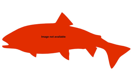 30-INCH ARCTIC CHAR