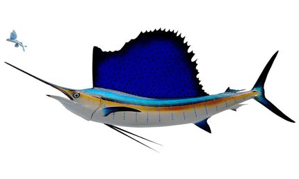 75-INCH ATLANTIC SAILFISH