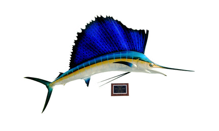 78-INCH ATLANTIC SAILFISH