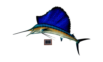 88-INCH ATLANTIC SAILFISH