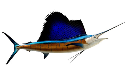 94-INCH ATLANTIC SAILFISH