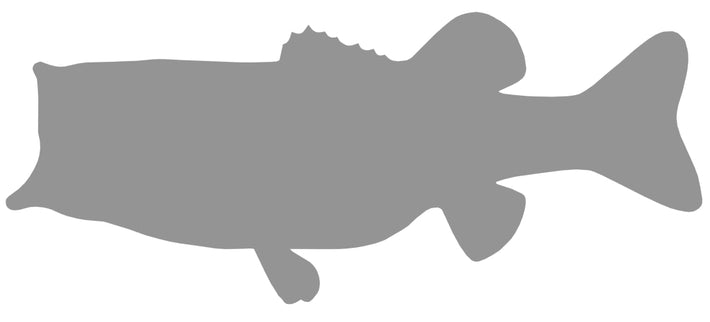 7-POUND LARGEMOUTH BASS BLANK, STANDARD