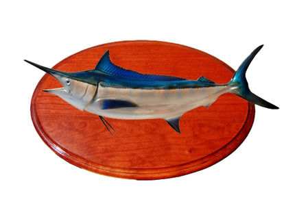 Collection image for: BLACK MARLIN TROPHIES