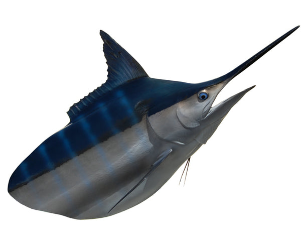Replica 1000-Pound Marlin Head Mount (Black Marlin) Fish Mount | King Sailfish Mounts