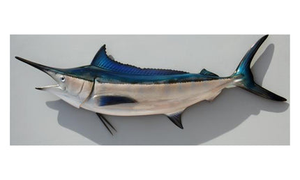 BLACK MARLIN, MINIATURE