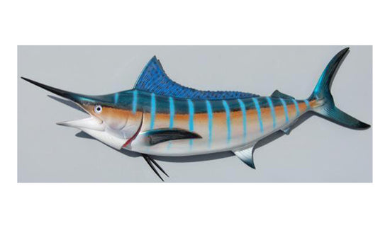 BLUE MARLIN, MINIATURE