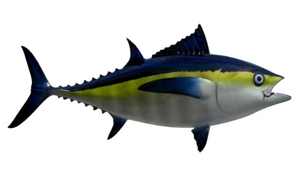 38-INCH BLACKFIN TUNA