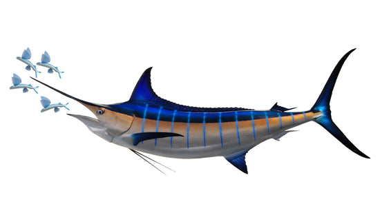 105-INCH BLUE MARLIN