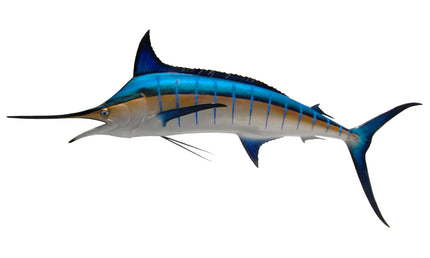 120-INCH BLUE MARLIN (L)