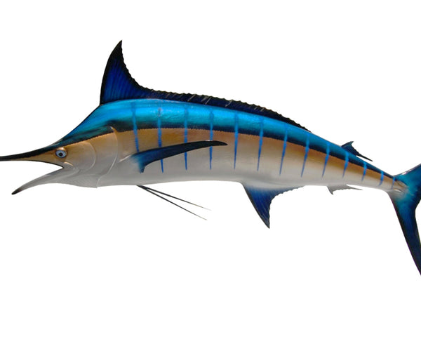 120-INCH BLUE MARLIN (L)