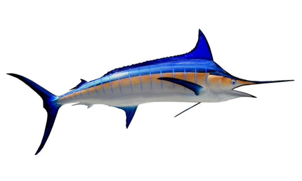 120-INCH BLUE MARLIN (R)