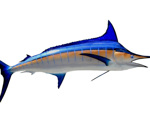 blue marlin lure fishing kings 120-INCH (R) Should You Be Sharpening Color:Mo' Rocka Curtis Favorites This fully comprehensive blue