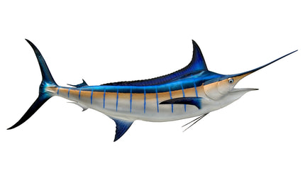 124-INCH BLUE MARLIN