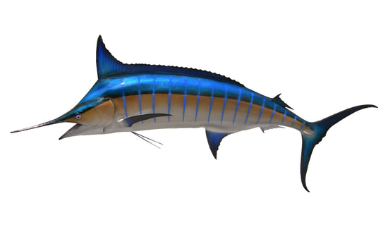 150-INCH BLUE MARLIN