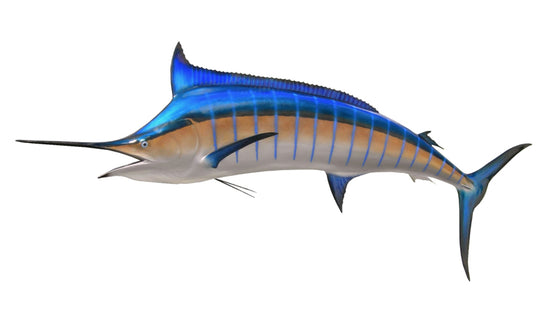 169-INCH BLUE MARLIN