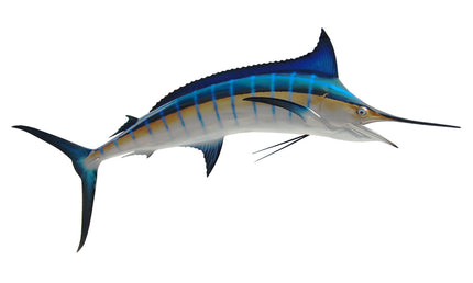 89-INCH BLUE MARLIN