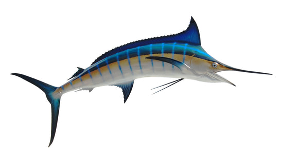 89-INCH BLUE MARLIN