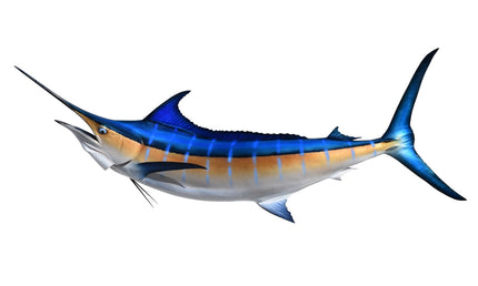 96-INCH BLUE MARLIN