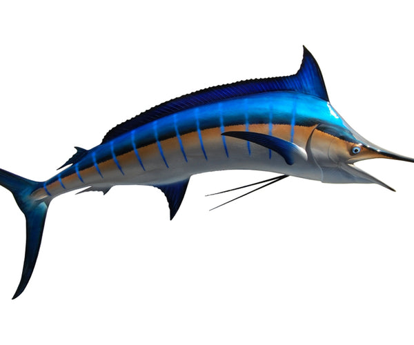 98-Inch Blue Marlin Fish Mount