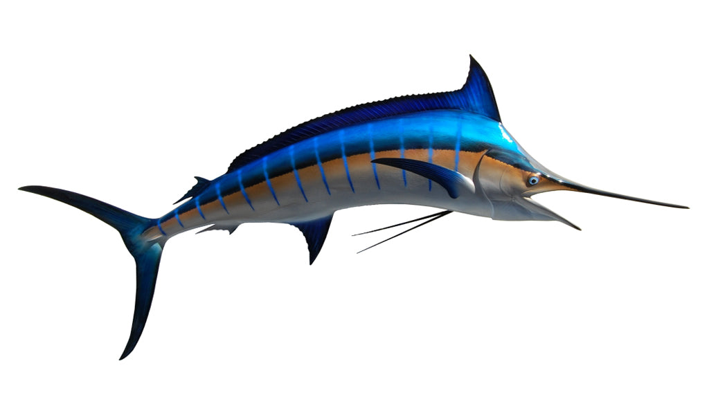 Replica 98-Inch Blue Marlin Fish Mount | King Sailfish Mounts