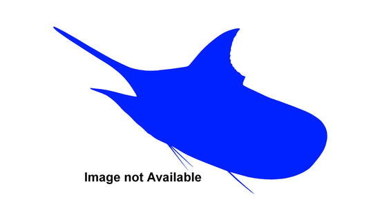 350-POUND MARLIN HEAD MOUNT (BLUE MARLIN)