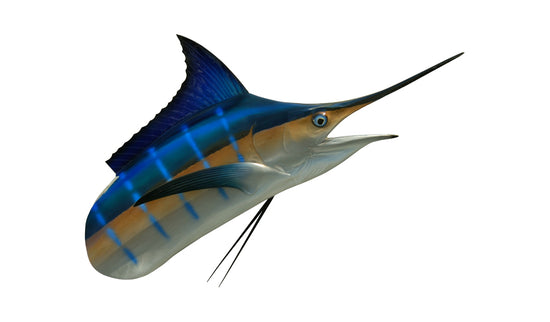 50-POUND MARLIN HEAD MOUNT (BLUE MARLIN)
