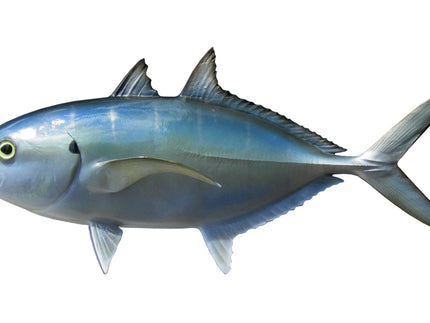 Collection image for: BLUE RUNNER, BAITFISH