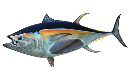 106-INCH BLUEFIN TUNA