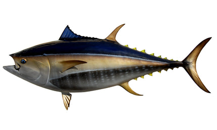 111-INCH BLUEFIN TUNA