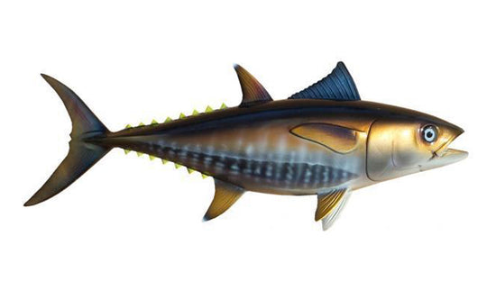 BLUEFIN TUNA, MINIATURE