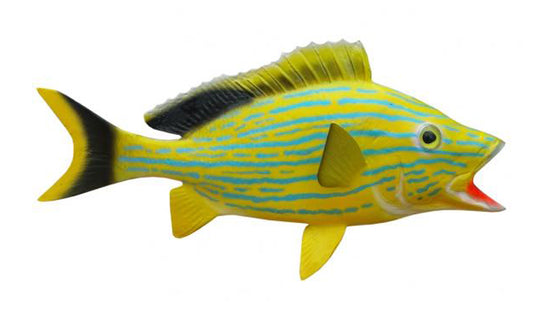 10-INCH BLUESTRIPED GRUNT