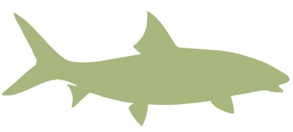 23-INCH BONEFISH BLANK, ECONOMICAL