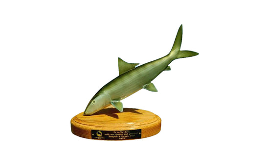 Bonefish Trophies | King Sailfish Mounts