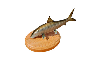 20-INCH BONEFISH TROPHY