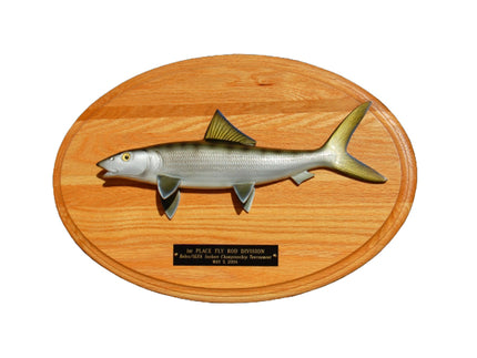 Collection image for: BONEFISH TROPHIES