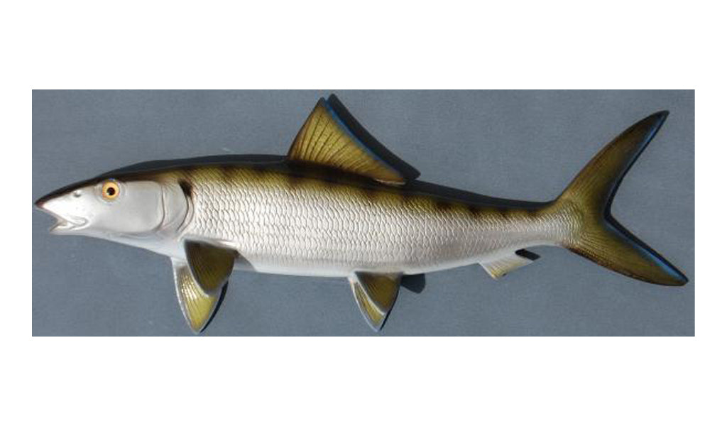 Bonefish Miniature Fish Mounts | King Sailfish Mounts