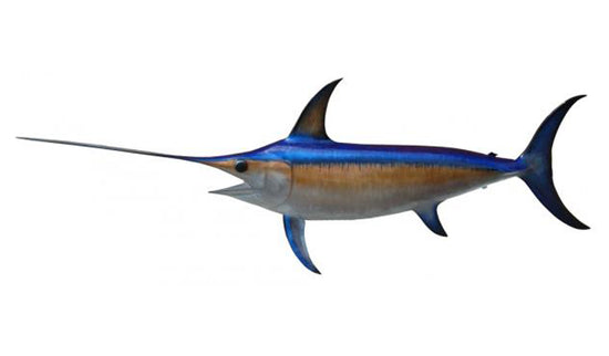 120-INCH BROADBILL SWORDFISH