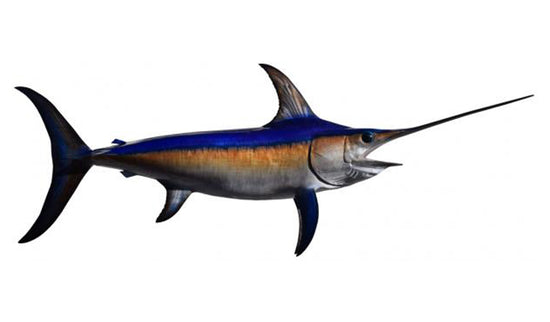 132-INCH BROADBILL SWORDFISH