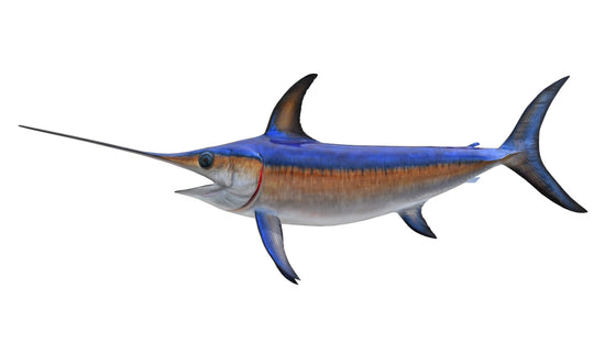 88-INCH BROADBILL SWORDFISH
