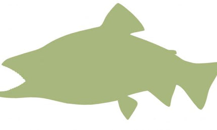17-INCH BROOK TROUT BLANK, ECONOMICAL