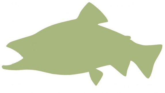 17-INCH BROOK TROUT BLANK, ECONOMICAL