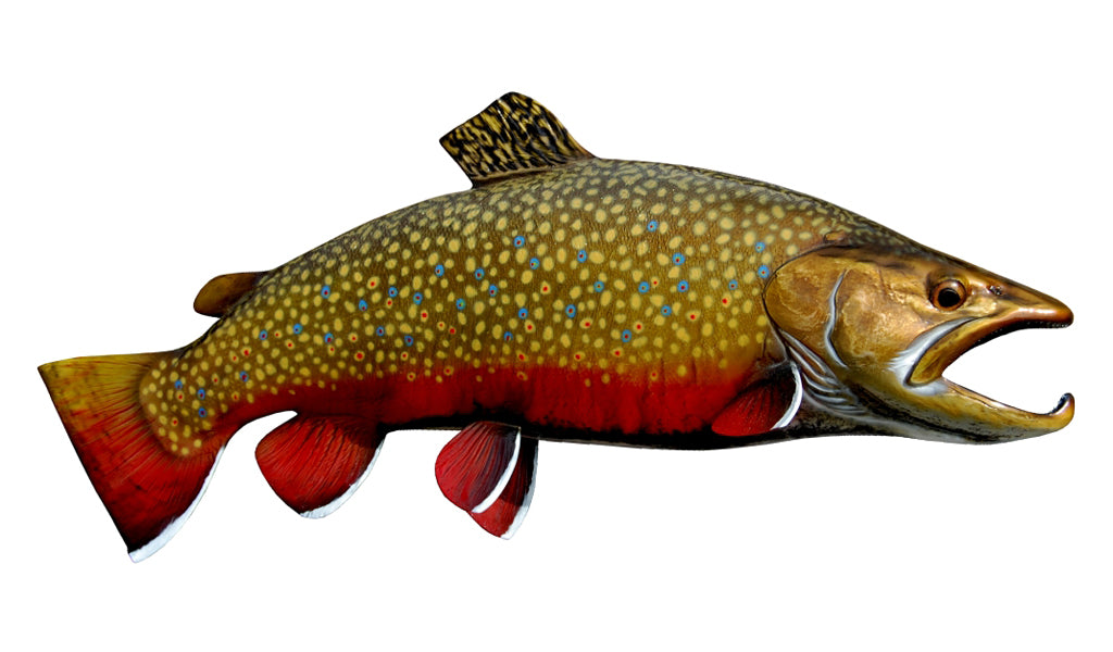 24-Inch Brook Trout Fish Mount | King Sailfish Mounts