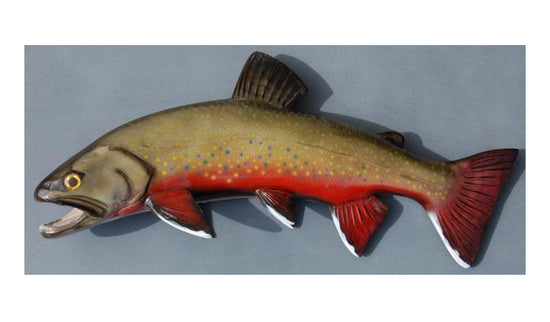 BROOK TROUT, MINIATURE