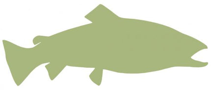 31-INCH BROWN TROUT BLANK, ECONOMICAL