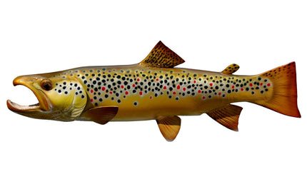16-INCH BROWN TROUT