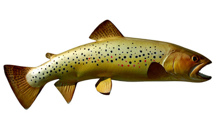 19-INCH BROWN TROUT